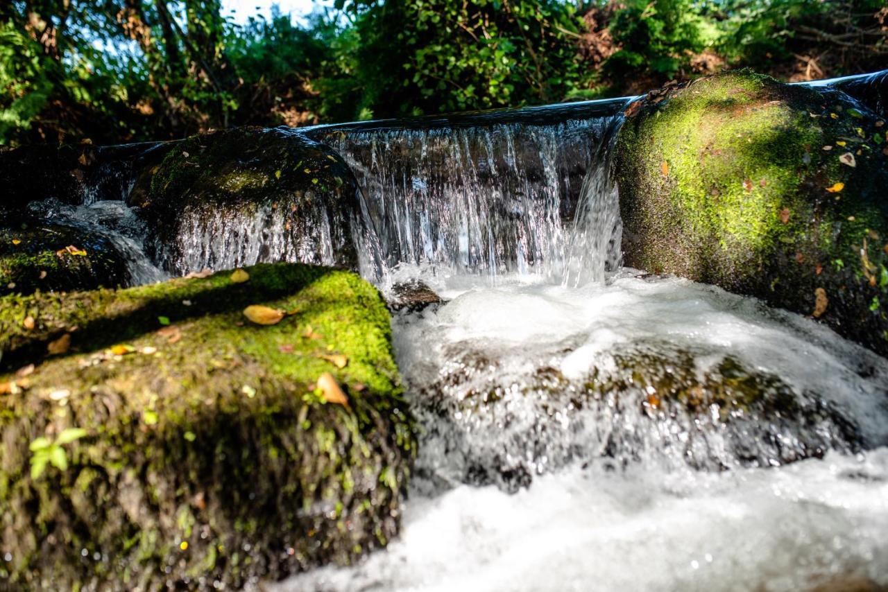 Quinta De Vila Nova - Agroturismo Monção Esterno foto
