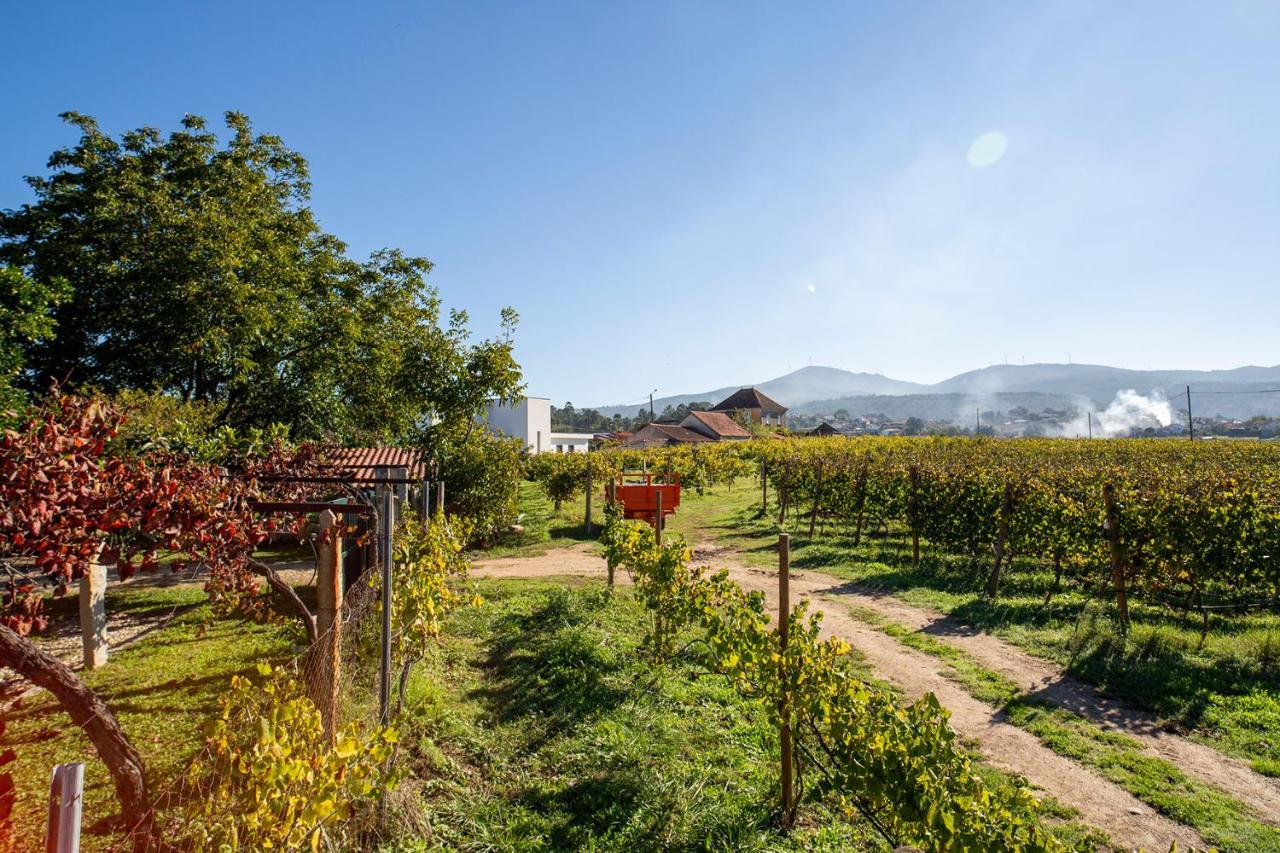 Quinta De Vila Nova - Agroturismo Monção Esterno foto