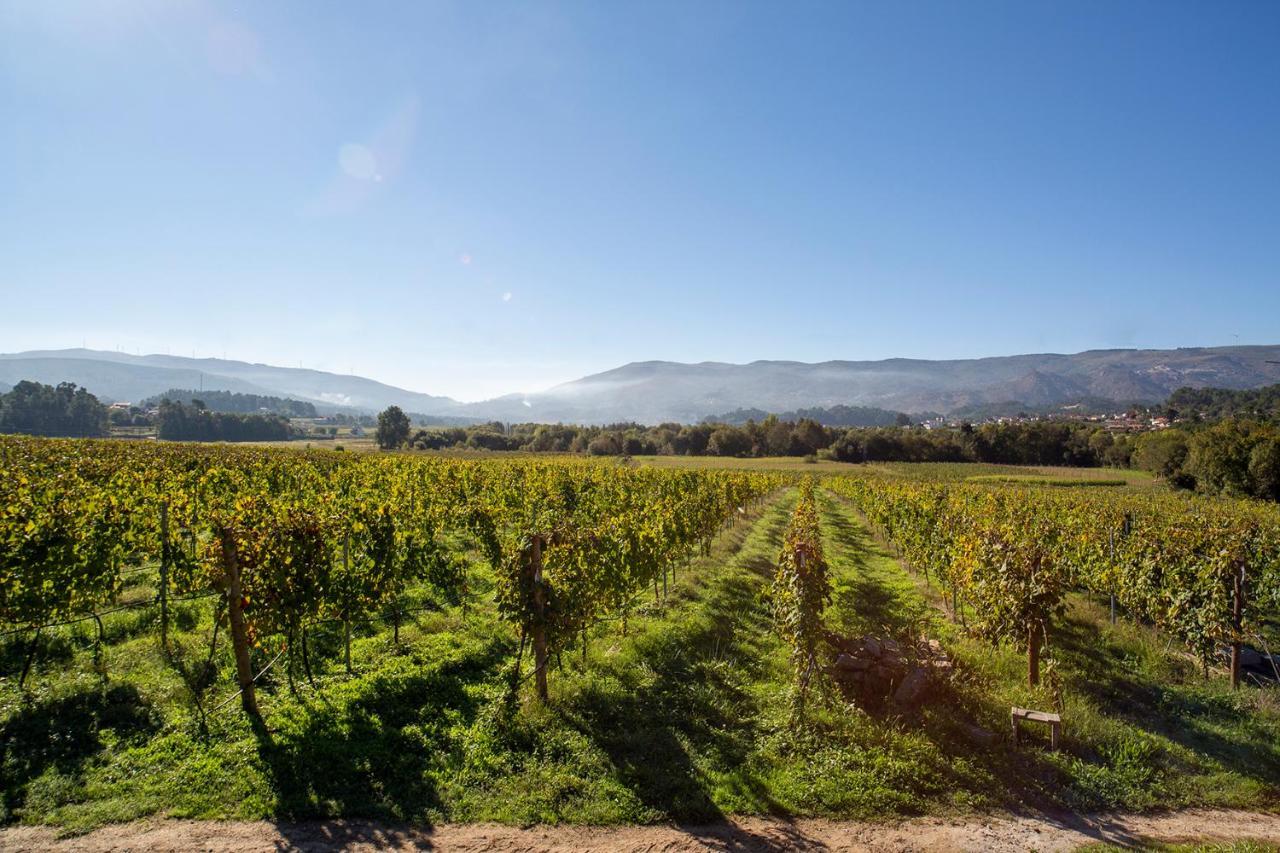 Quinta De Vila Nova - Agroturismo Monção Esterno foto